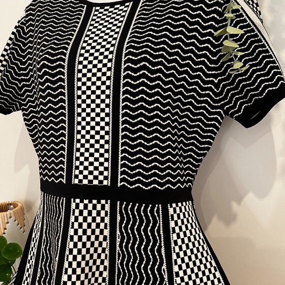 ZARA WOMENS SIZE M SHORT SLEEVE DRESS BLACK / WHITE BNWT (22-093) - Picture 8 of 15